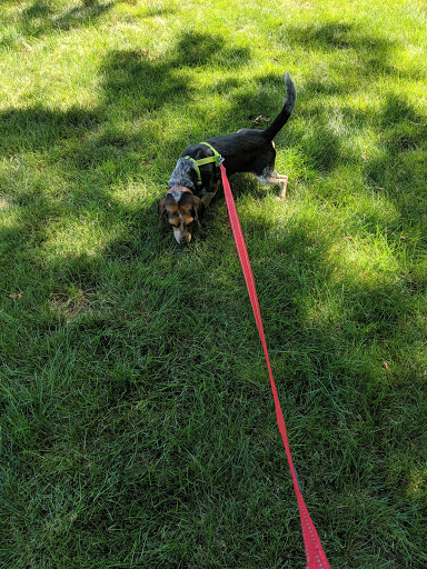 Pet Supply Store «Pet Supplies Plus», reviews and photos, 391 Broadway, Hillsdale, NJ 07642, USA