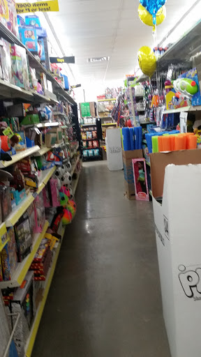 Home Goods Store «Dollar General», reviews and photos, 409 Suedberg Rd, Pine Grove, PA 17963, USA