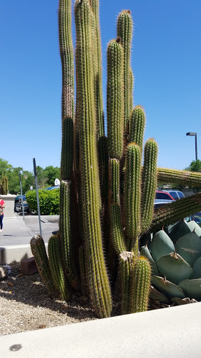 Thrift Store «Goodwill Clearance Center and Donation Site», reviews and photos, 1280 W Cheyenne Ave, North Las Vegas, NV 89030, USA