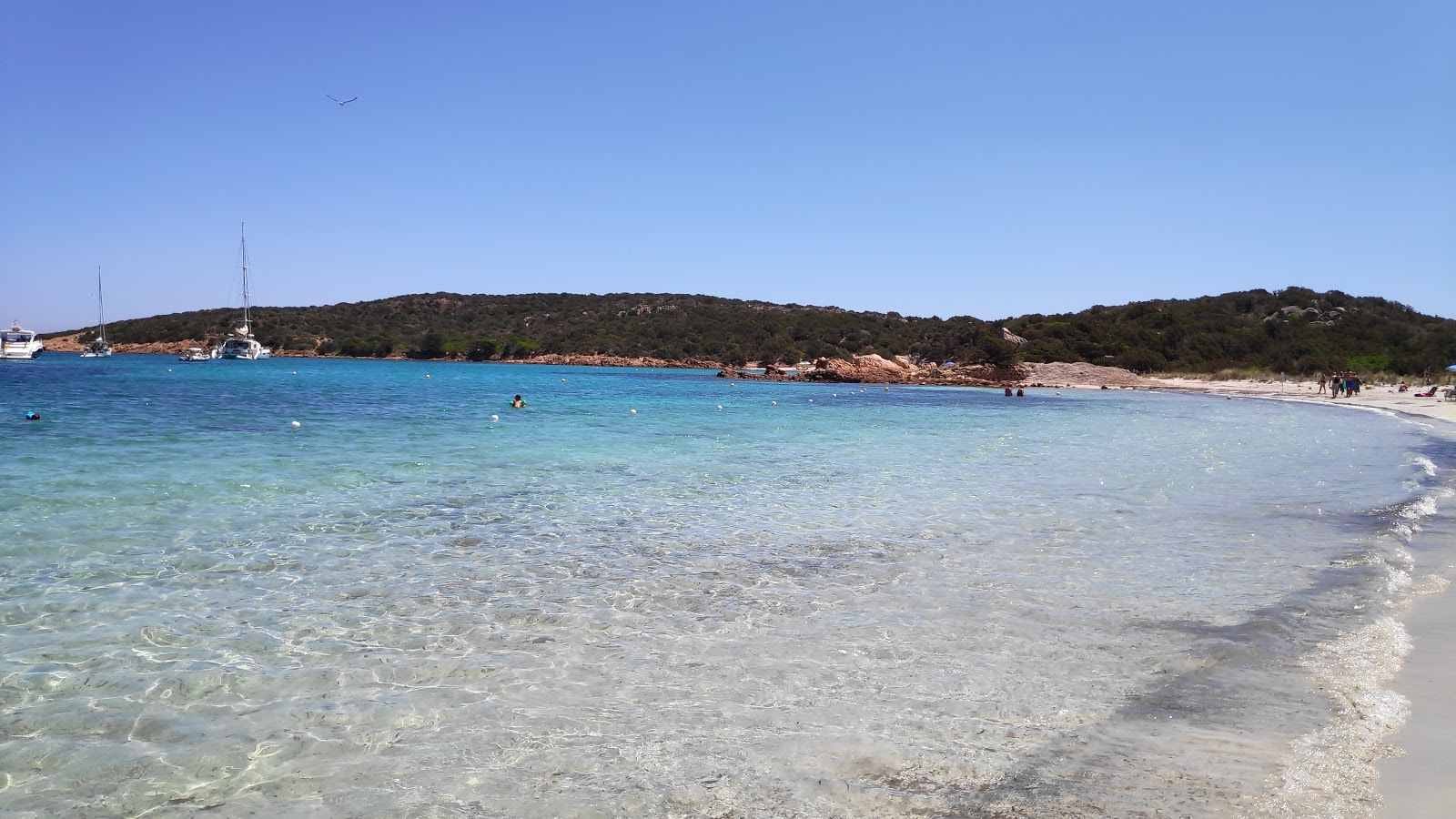 Photo of Cala Caprese with turquoise pure water surface