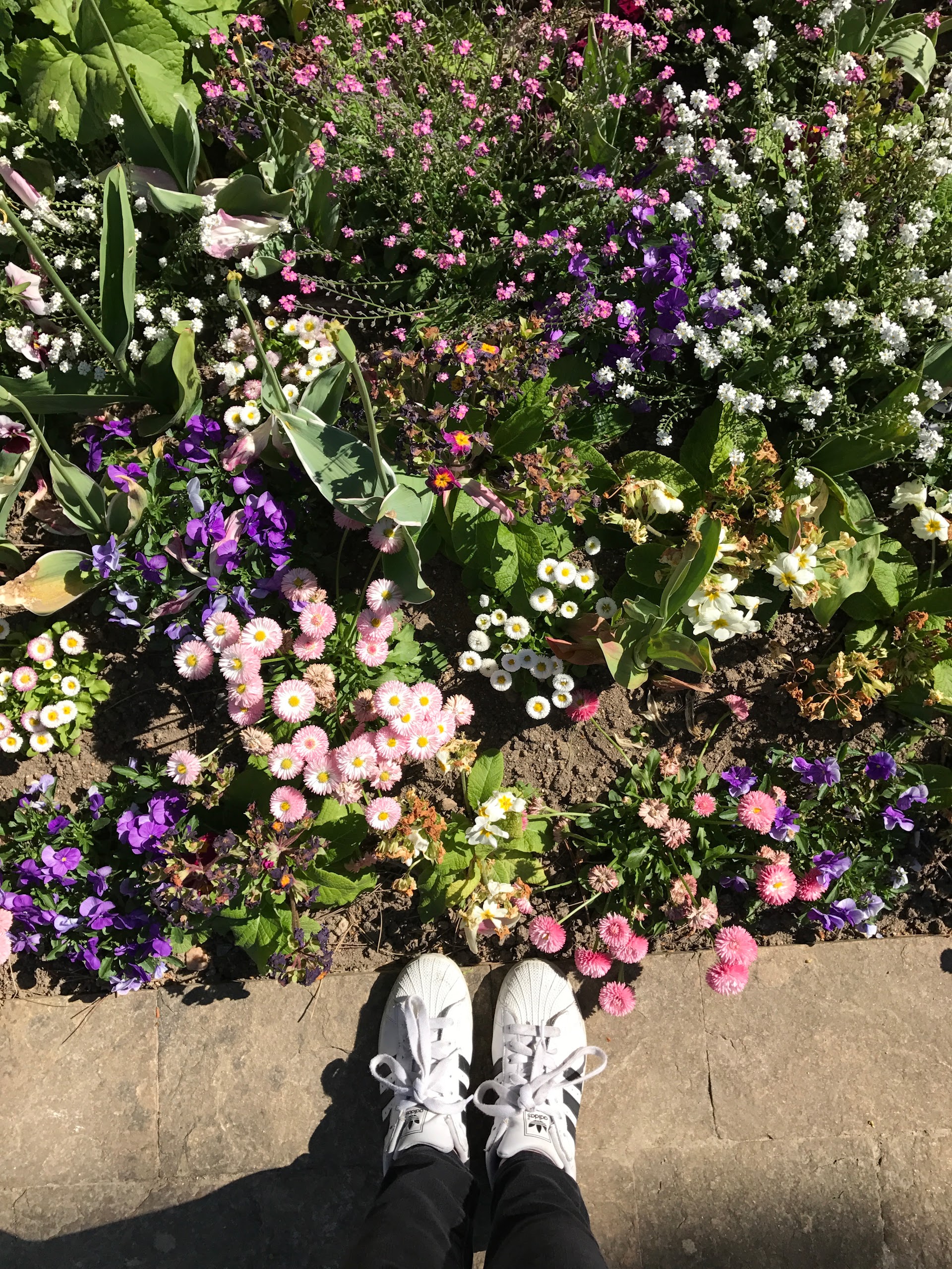 Photo n° 1 de l'avis de Magali.o fait le 10/05/2017 à 12:25