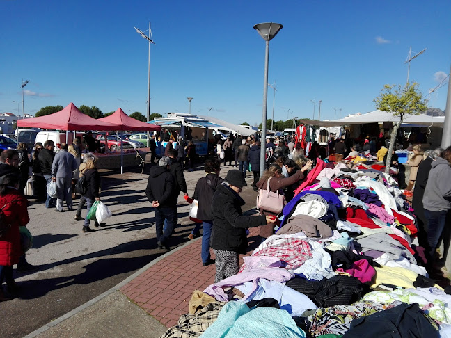 Parque de Feiras e Exposições de, 7300-306 Portalegre