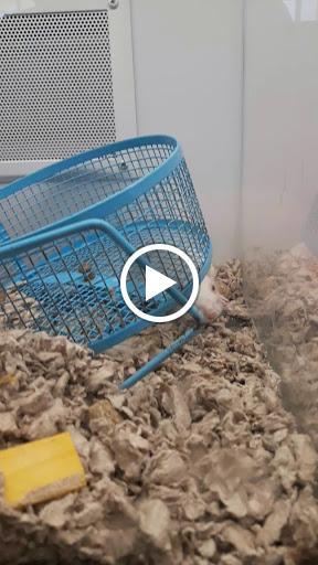 Pet Supply Store «Petco Animal Supplies», reviews and photos, 2140 E Blvd St, Kokomo, IN 46902, USA