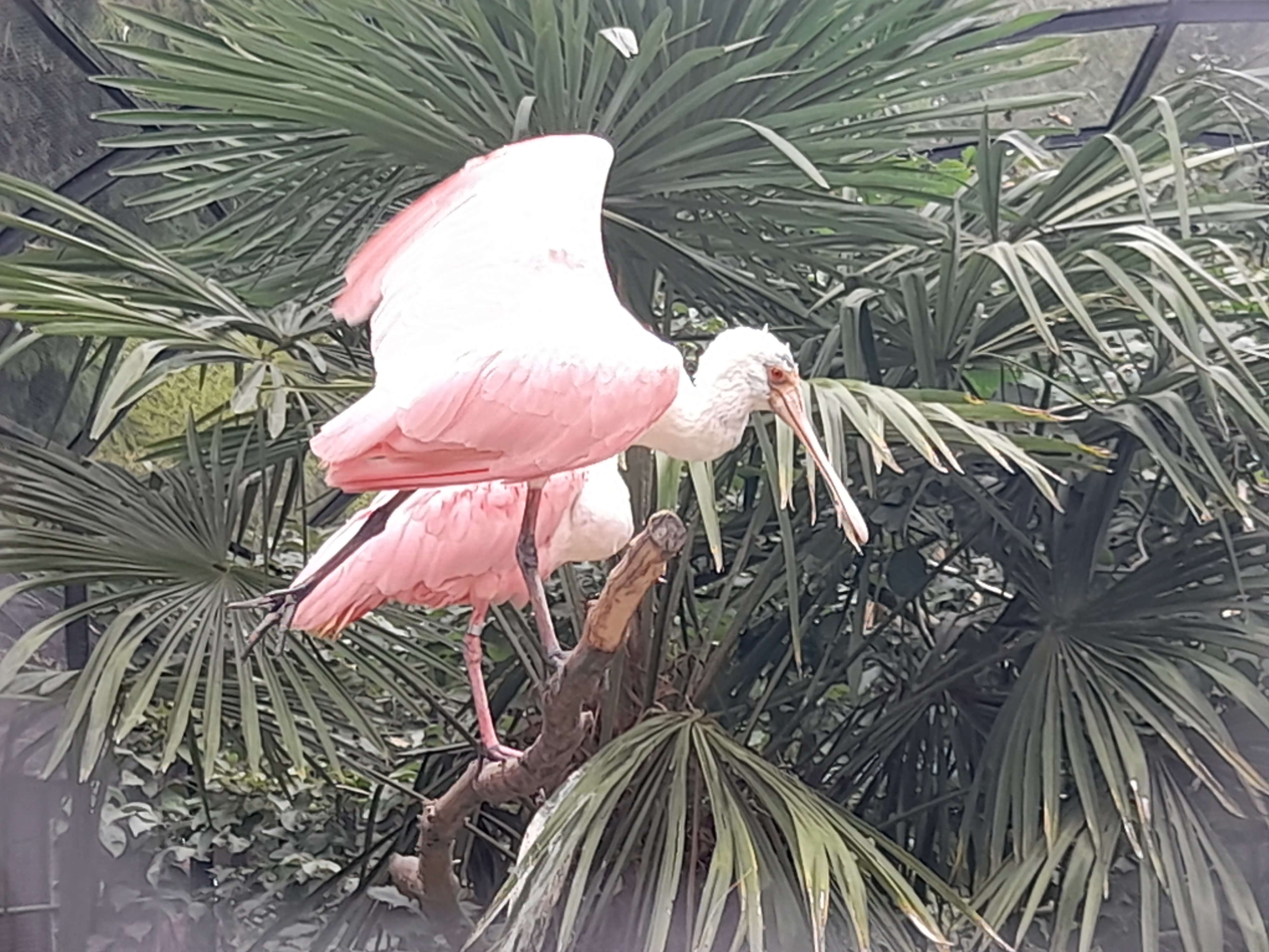 Photo n° 3 de l'avis de pauline.o fait le 15/08/2022 à 18:00