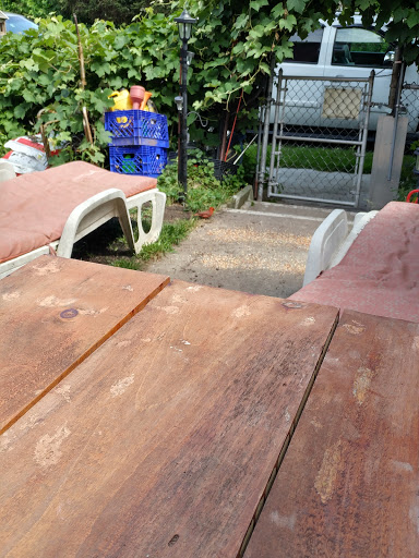 Dollar Store «Dollar Tree», reviews and photos, 235 Prospect Ave, West Orange, NJ 07052, USA