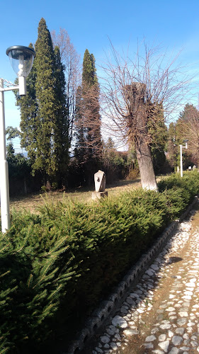 Strada Mărășești 15, Câmpulung 115100, România