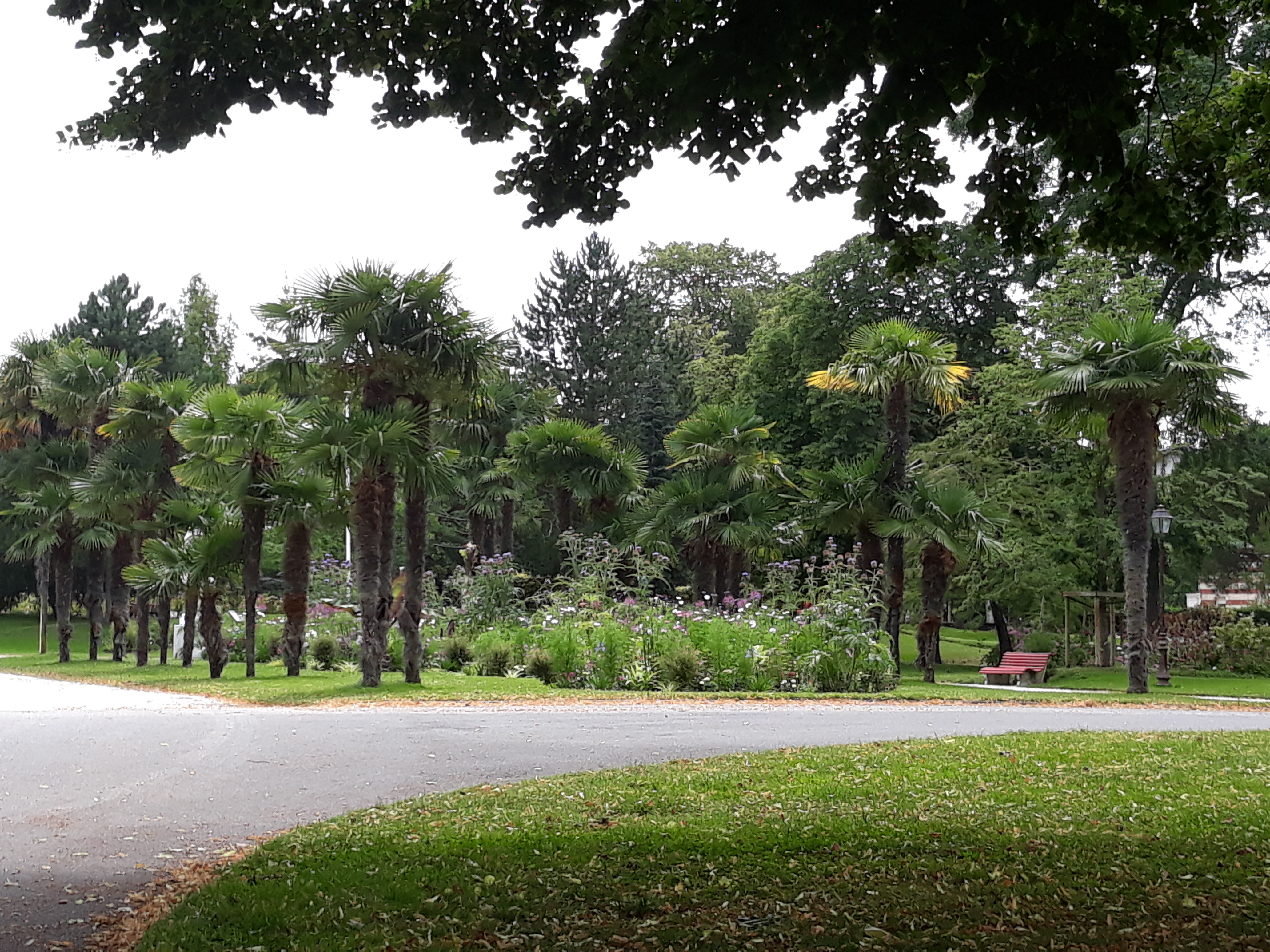 Photo n° 3 de l'avis de michele.a fait le 07/07/2019 à 14:27