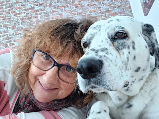 Tierärztliche Praxis Dr. Gottschall unter Sankt Wendel, Saarland