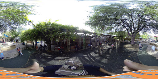 Transit Stop «Dallas Zoo Station», reviews and photos, 614 S. Ewing Avenue, Dallas, TX 75203, USA