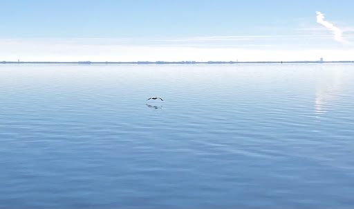 Sporting Goods Store «KAYAKS BY BO INC.», reviews and photos, 410 S Hopkins Ave, Titusville, FL 32796, USA