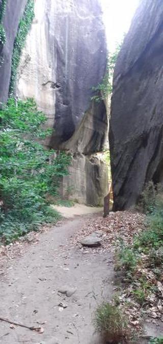 Photo n° 5 de l'avis de Dominique.o fait le 16/08/2021 à 19:43