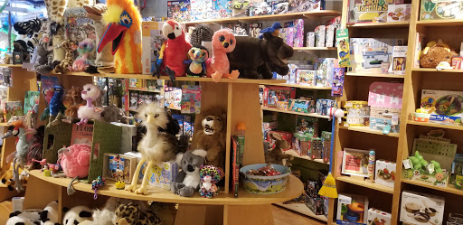 Toy Store «Treehouse Toys Ltd», reviews and photos, 47 Exchange St, Portland, ME 04101, USA