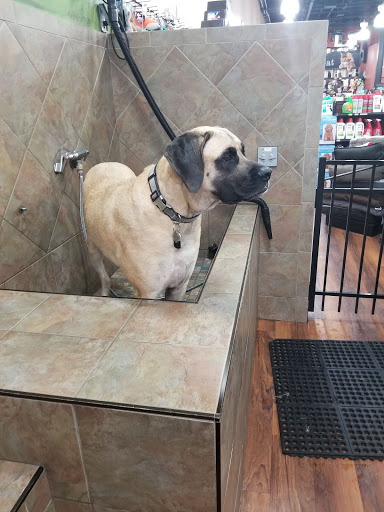 Pet Store «Pet Valu», reviews and photos, 225 Allwood Rd, Clifton, NJ 07012, USA