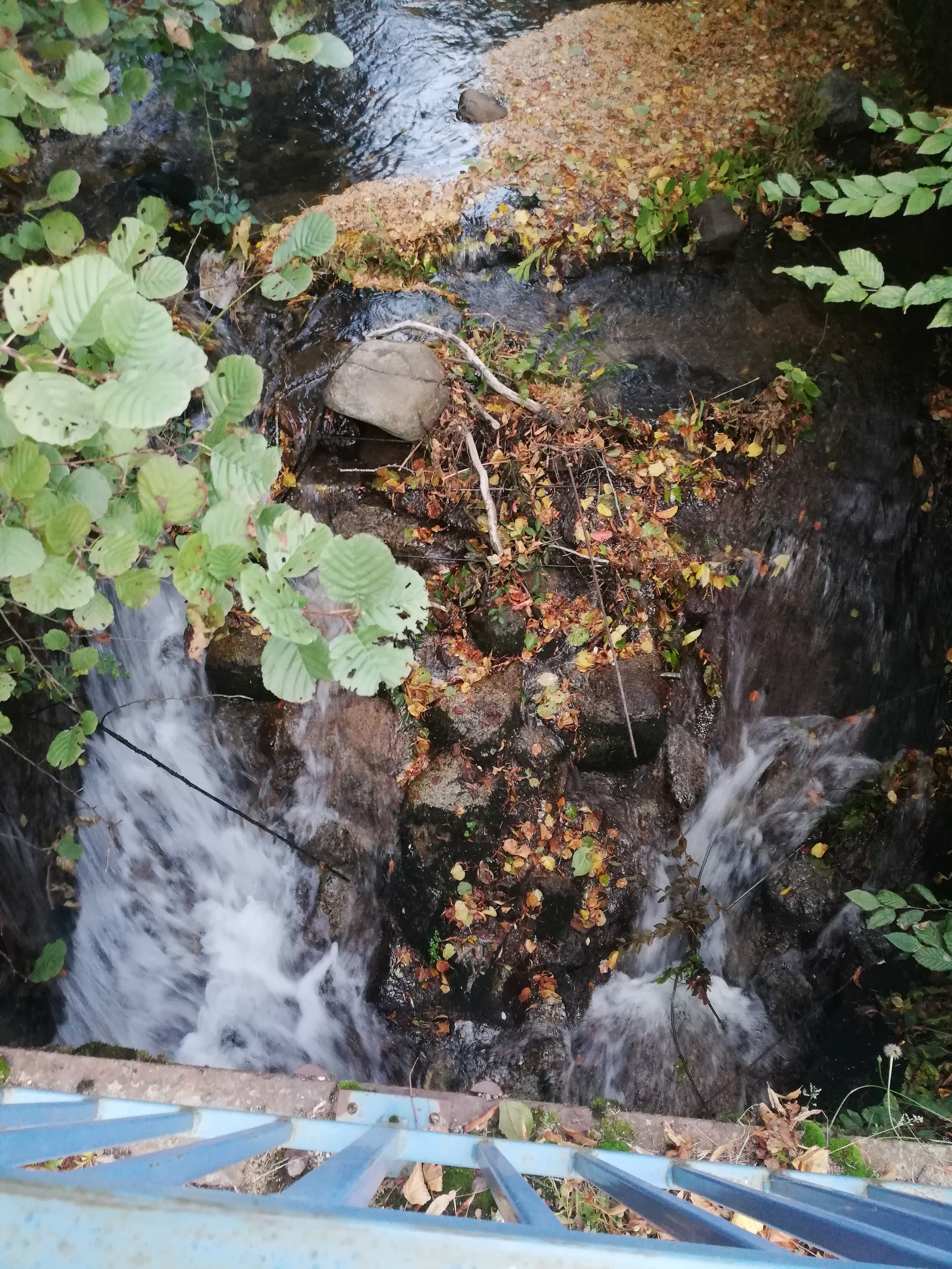 Photo n° 2 de l'avis de Noëlle. fait le 17/10/2018 à 22:05