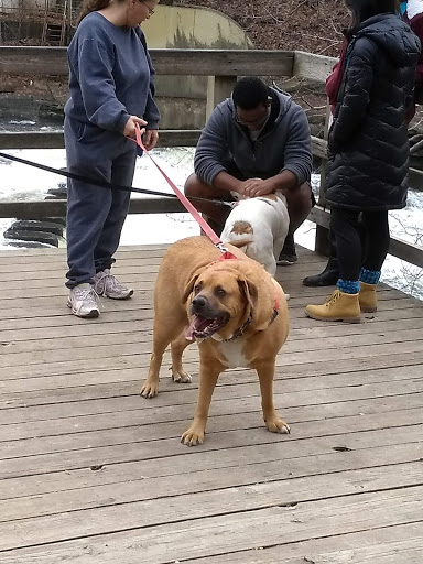 Park «Gorge Metro Park», reviews and photos, 1160 Front St, Cuyahoga Falls, OH 44223, USA