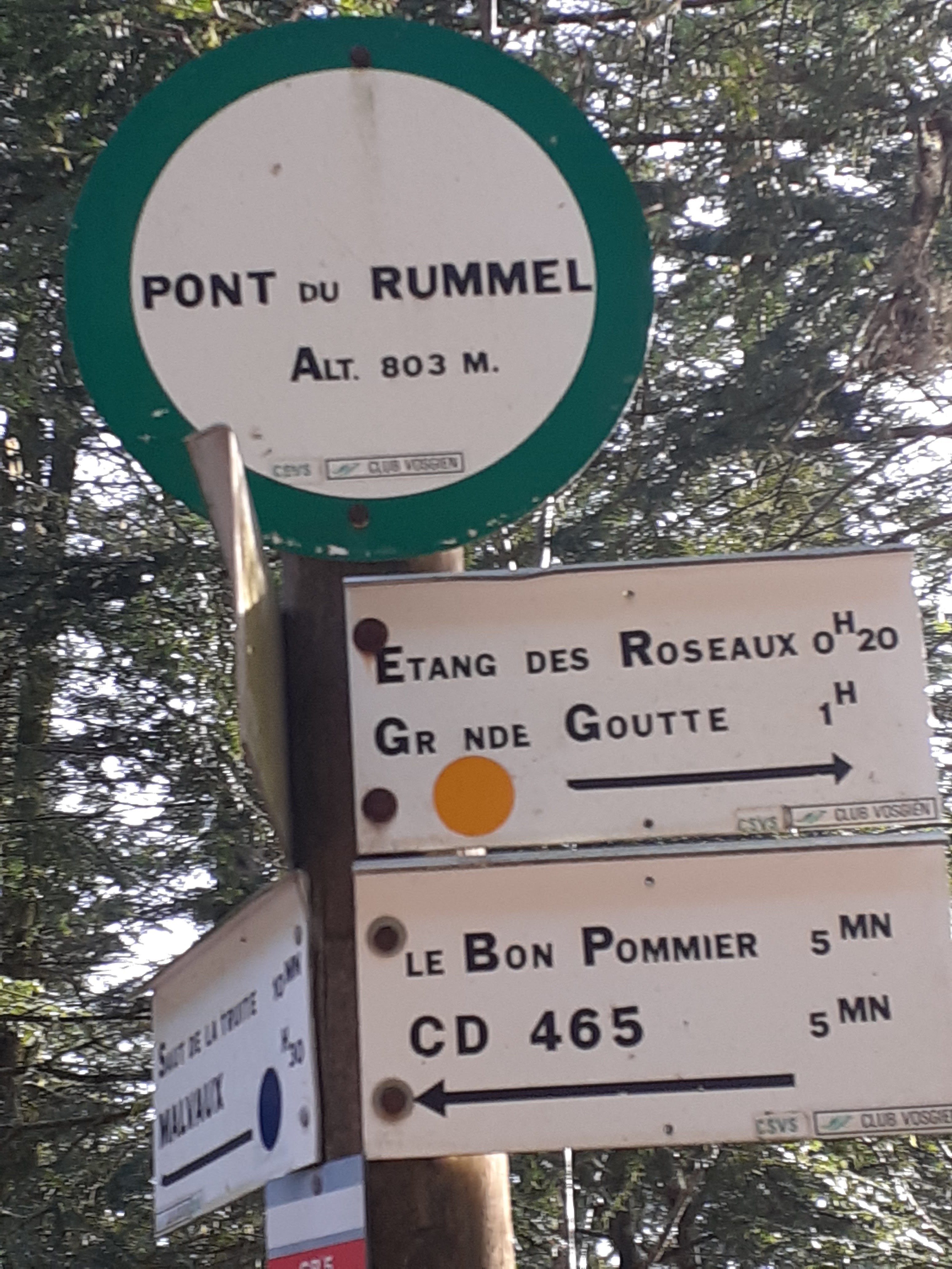 Photo n° 2 de l'avis de seyer.e fait le 23/02/2020 à 10:09
