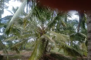 Nataraj Garden Kosavampalayam image