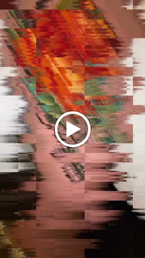 Explore tattoo ideas for female half sleeve, creative tattoo ideas in Sanford, available at Venom Ink Tattoo