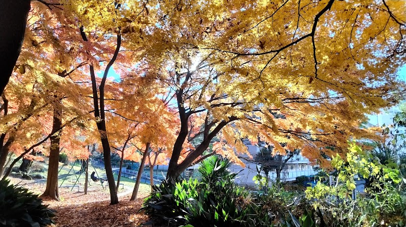 箱根山西口