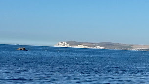 Photo n°40 de Restaurant la Sirène à Audinghen ()