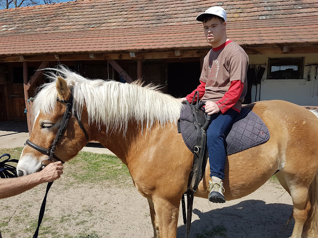 Értékelések erről a helyről: Vincze Lovarda, Bócsa - Étterem