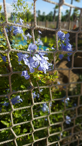 Water Park «Surf Lagoon Water Park», reviews and photos, 130 Towne Center Blvd, Pooler, GA 31322, USA