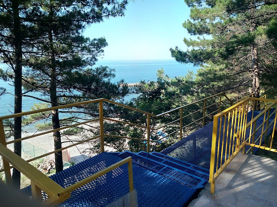 Wild beach