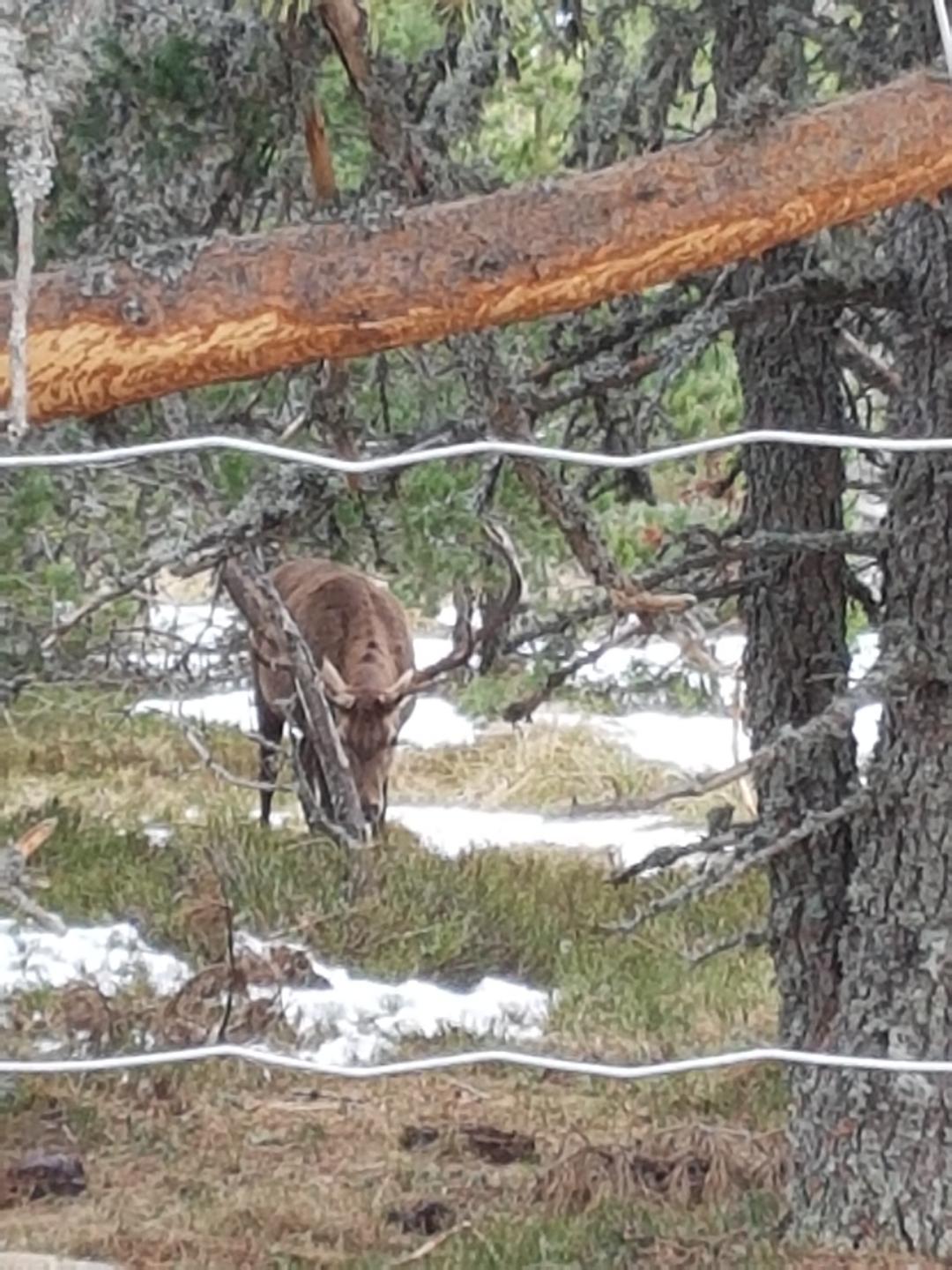 Photo n° 2 de l'avis de Lopez.a fait le 05/05/2019 à 16:17
