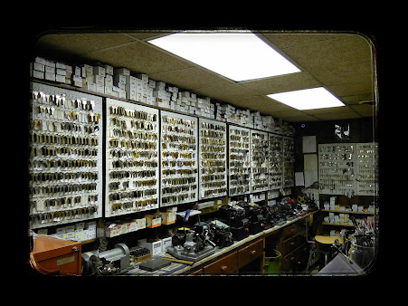 Jenkins Security Services, Inc.