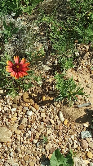 Oasis State Park - photo 58