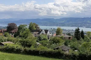 Aussichtspunkt Zürich image