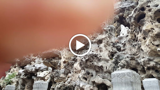 Community Center «Society Hill Community Center», reviews and photos, 1 Cornerstone Ln, Newark, NJ 07103, USA