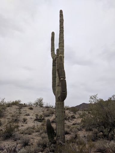 Golf Club «Verrado Golf Club», reviews and photos, 4242 N Golf Dr, Buckeye, AZ 85396, USA