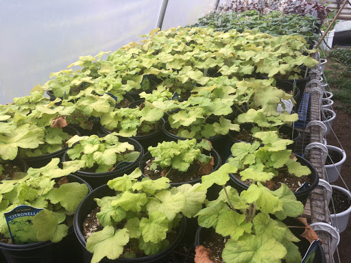 Produce Market «Highland Orchards Farm Market», reviews and photos, 1431 Foulk Rd, Wilmington, DE 19803, USA