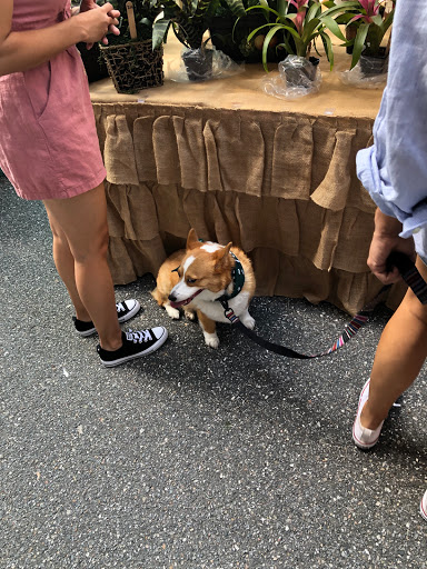 Arts Organization «Riverside Arts Market», reviews and photos, 715 Riverside Ave, Jacksonville, FL 32204, USA