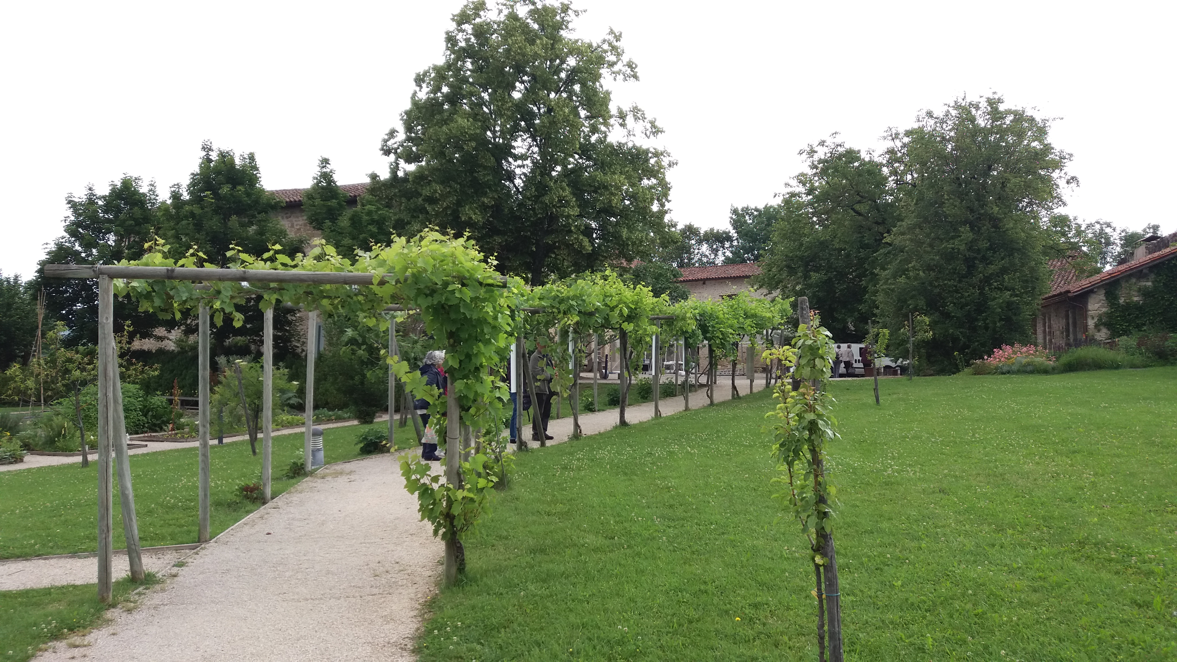 Photo n° 6 de l'avis de Tranchant.h fait le 14/06/2019 à 14:11