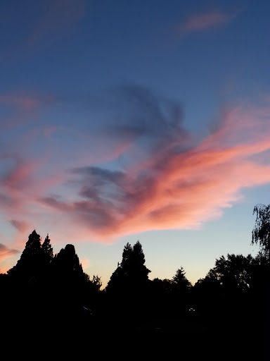 Park «Autumn Ridge Park», reviews and photos, NW Fieldstone Dr, Beaverton, OR 97006, USA