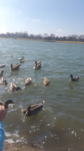 Golf Course «Lake Park Golf Course & Marina», reviews and photos, 1015 Howard Ave, Des Plaines, IL 60018, USA