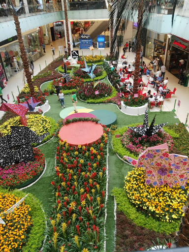 Plant shops in Santo Domingo