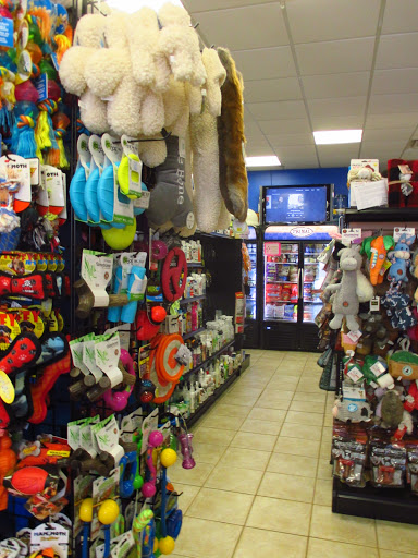 Pet Supply Store «Dawg City Inc.», reviews and photos, 38 Pearson St, Andover, MA 01810, USA