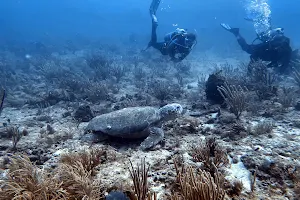 Walker's Dive Charters image