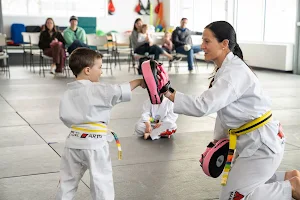 AMYS Martial Arts image