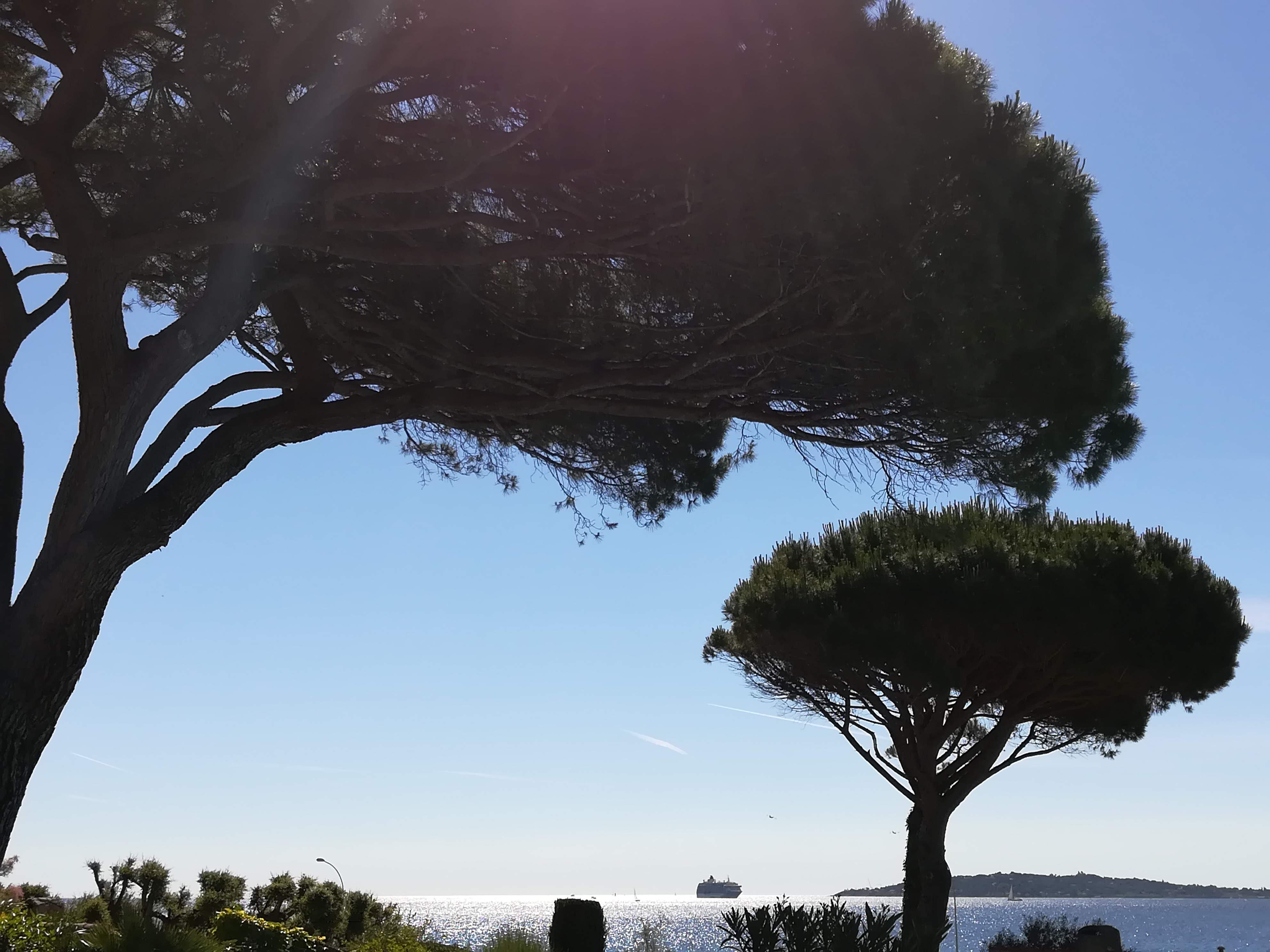 Photo n° 2 de l'avis de Rossana.a fait le 12/06/2019 à 12:15