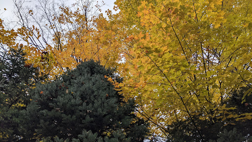 Zoo «Seneca Park Zoo», reviews and photos, 2222 St. Paul Street, Rochester, NY 14621, USA