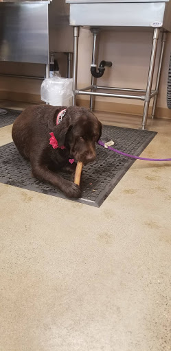 Pet Supply Store «Lemos Feed & Pet Supply», reviews and photos, 1320 Main St, Morro Bay, CA 93442, USA