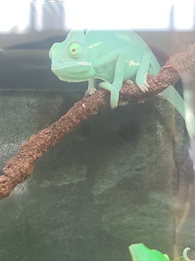 Pet Supply Store «Petco Animal Supplies», reviews and photos, 3680 Spencer Hwy, Pasadena, TX 77504, USA