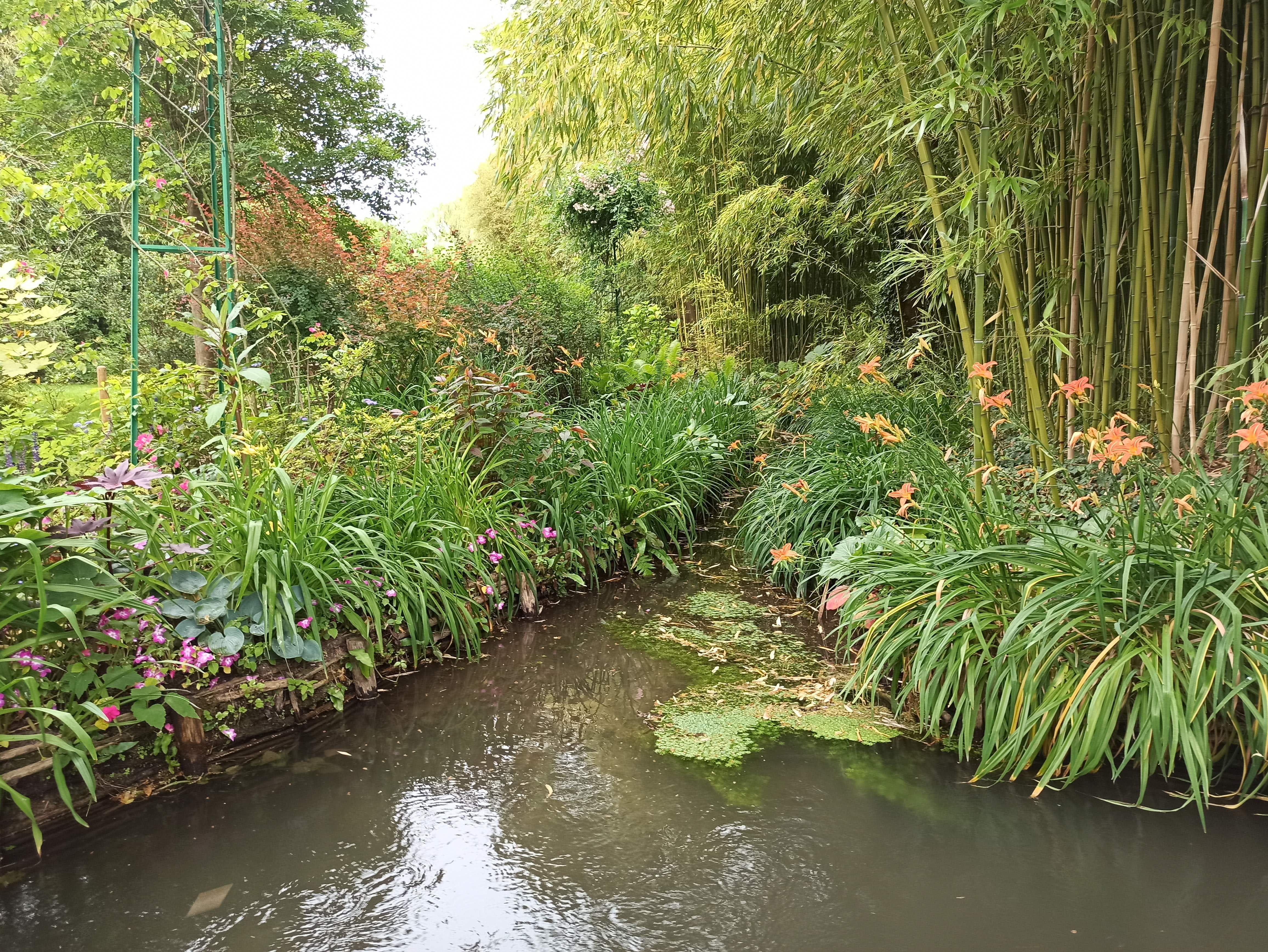 Photo n° 3 de l'avis de flo.a fait le 22/06/2020 à 13:02