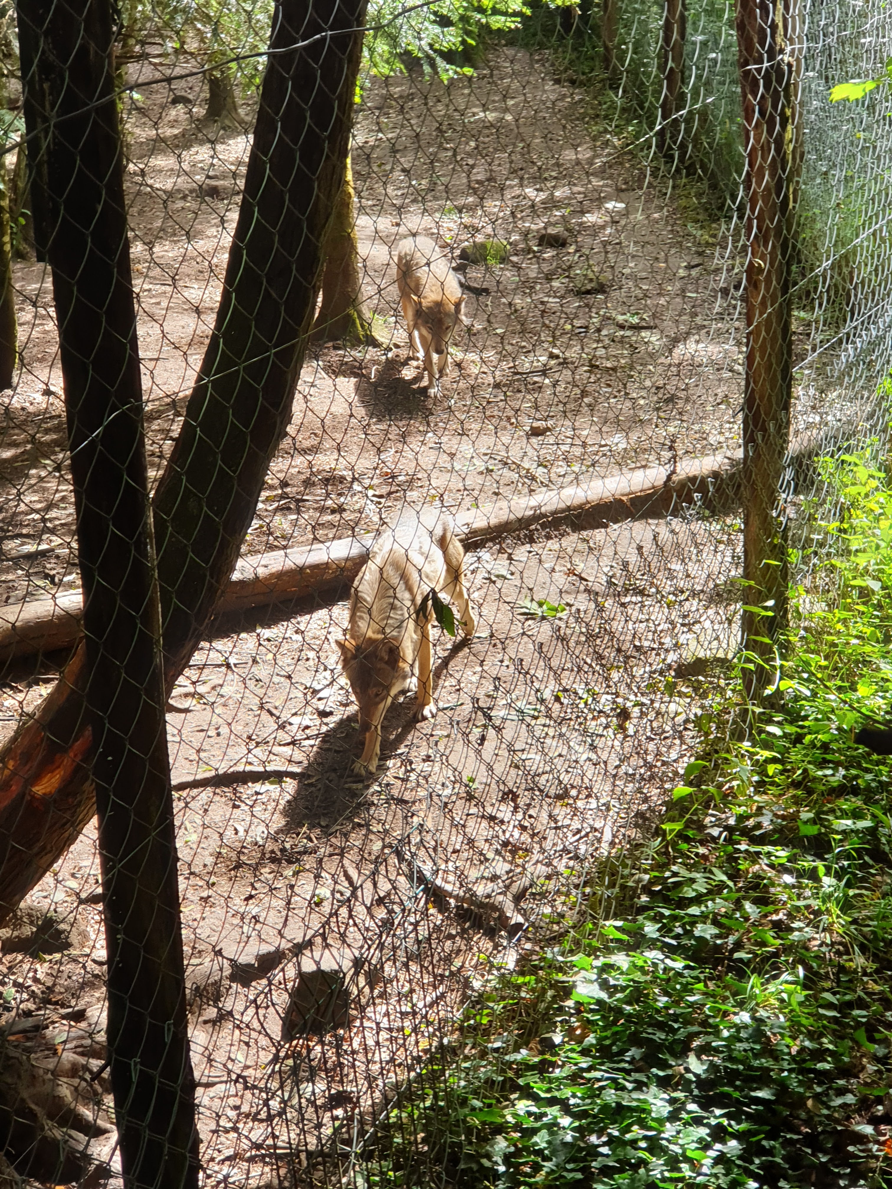 Photo n° 4 de l'avis de Sarah.h fait le 16/09/2020 à 12:45