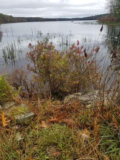 Bed & Breakfast «Inn at Lake Joseph», reviews and photos, 162 St Josephs Rd, Forestburgh, NY 12777, USA