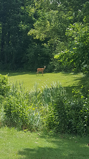 Golf Course «Turnberry Golf Course», reviews and photos, 1145 Clubhouse Ln, Pickerington, OH 43147, USA